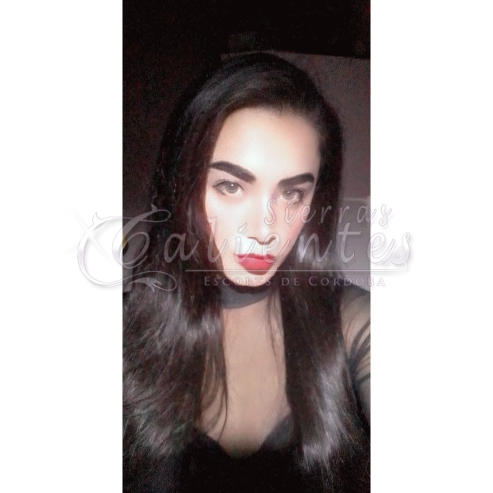 Aylin Trans - Foto 2 | Sierras Calientes