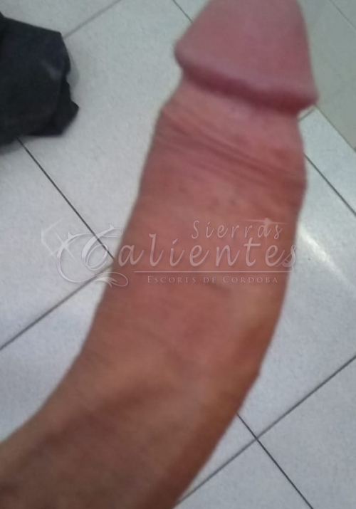 Alejandra Trans - Foto 13 | Sierras Calientes